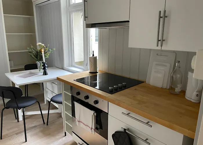 公寓 Koselig Og Lun Leilighet