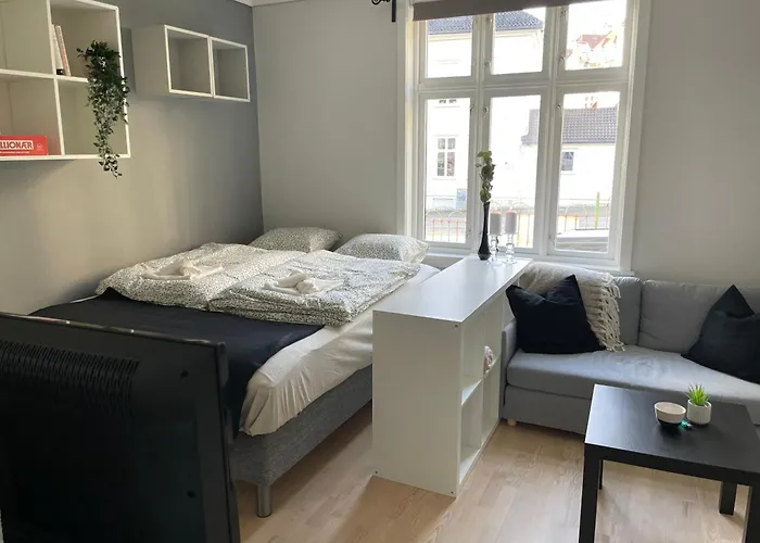 Apartmán Koselig Og Lun Leilighet *